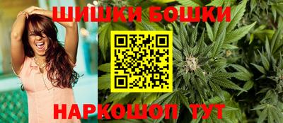 гашик Дубна
