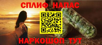 гашик Дубна
